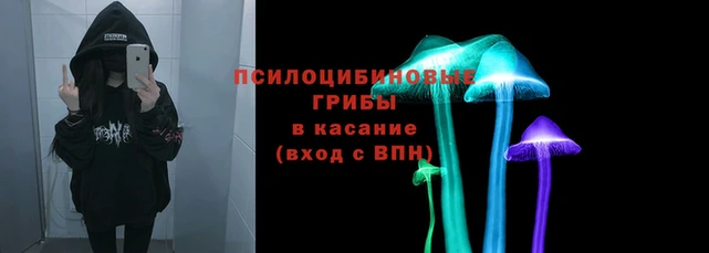 герыч Вязники