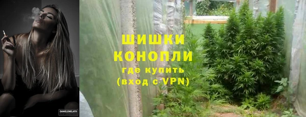 ALPHA-PVP Вяземский